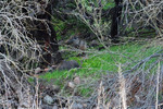 photo thumbnail #15