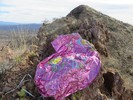 photo thumbnail #12