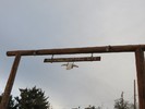 photo thumbnail #1