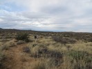 photo thumbnail #7