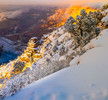 photo thumbnail #4