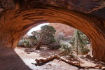 photo thumbnail #10