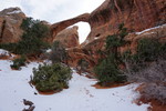 photo thumbnail #14