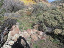 photo thumbnail #7