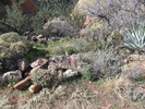 photo thumbnail #8