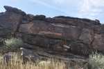 photo thumbnail #14