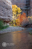photo thumbnail #14
