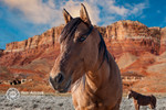photo thumbnail #5