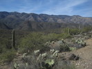 photo thumbnail #3