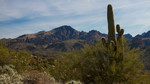 photo thumbnail #4