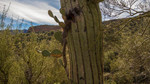 photo thumbnail #13
