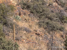 photo thumbnail #9