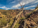 2015-01-25 :2: Coon Creek Ruins Overlook via FR3368 :: AZLumberjack