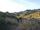photo thumbnail #2