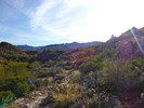 photo thumbnail #3