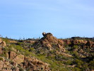 photo thumbnail #4
