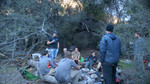 photo thumbnail #9