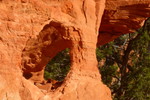 photo thumbnail #2