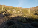 photo thumbnail #5