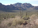 recent photo