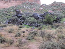 photo thumbnail #1