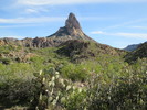 photo thumbnail #1