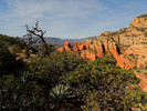photo thumbnail #4