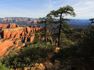 photo thumbnail #14
