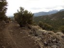 photo thumbnail #11