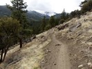 photo thumbnail #12