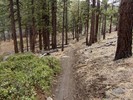 photo thumbnail #13