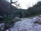 photo thumbnail #14