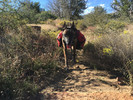 photo thumbnail #9