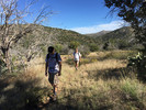 photo thumbnail #11
