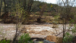 photo thumbnail #13