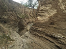 photo thumbnail #13