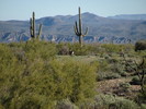 photo thumbnail #9