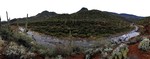 photo thumbnail #2