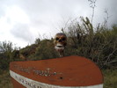 photo thumbnail #13