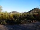 photo thumbnail #8