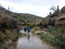 photo thumbnail #2