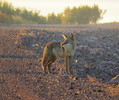 photo thumbnail #1