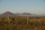 photo thumbnail #1
