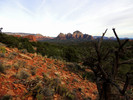 photo thumbnail #5