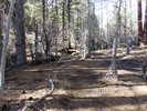 photo thumbnail #4