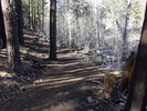 photo thumbnail #5