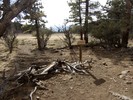 photo thumbnail #10