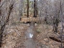 photo thumbnail #15