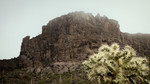 photo thumbnail #6