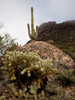 photo thumbnail #7